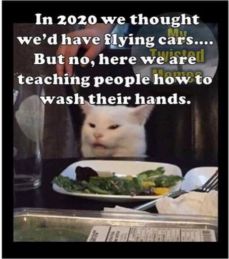 76e3efbaa9984a6c2a52e3780eb9b0b3.jpg