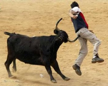 bull+colonoscopy.jpg