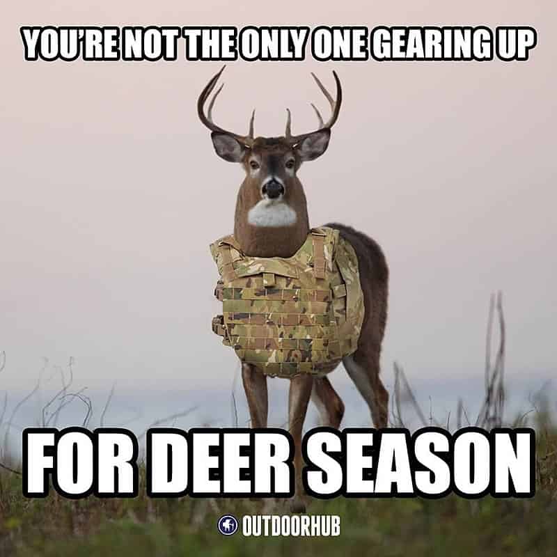 youre-not-the-only-one-gearing-up-deer-hunting-meme.jpg