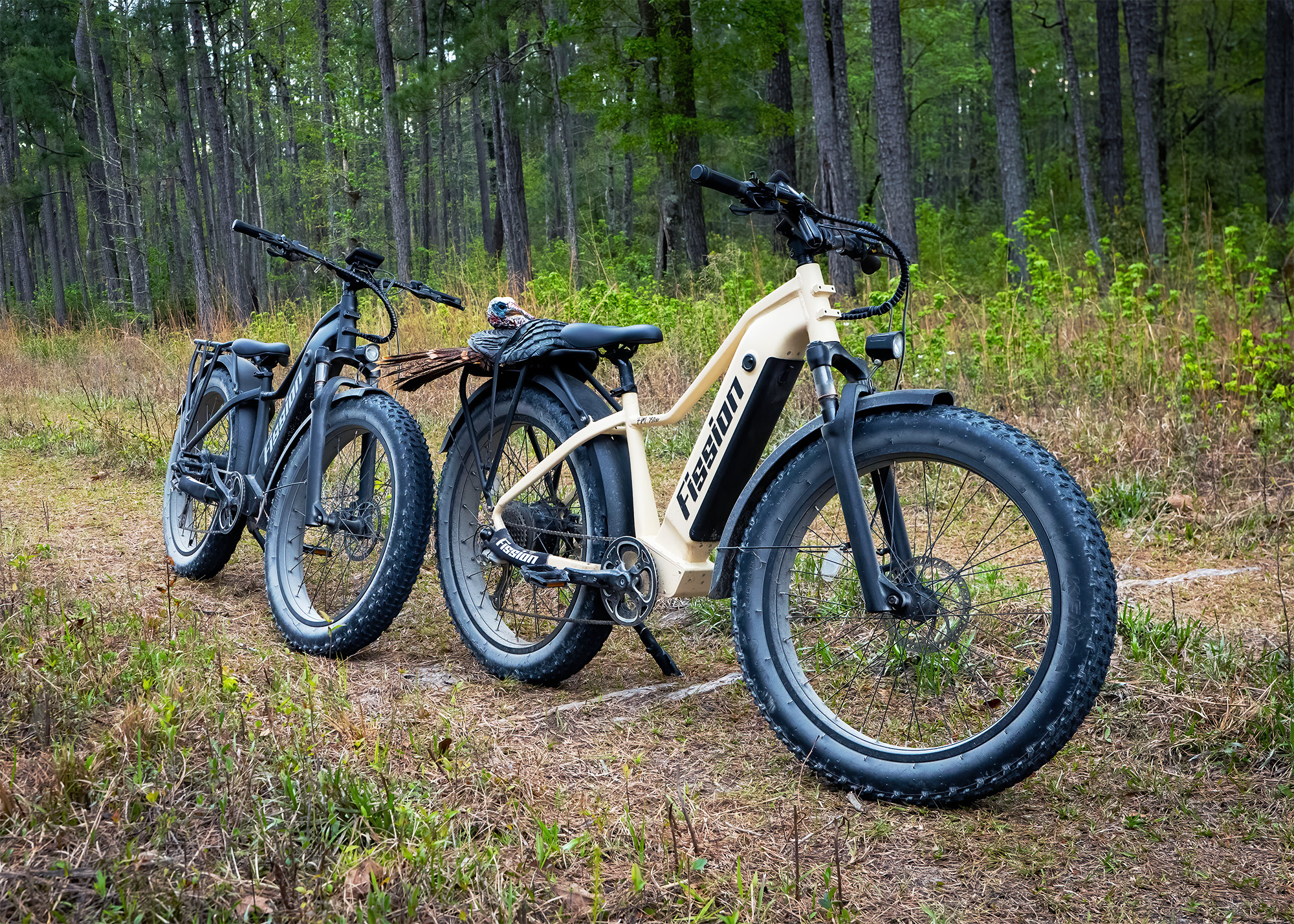 www.fissioncycles.com