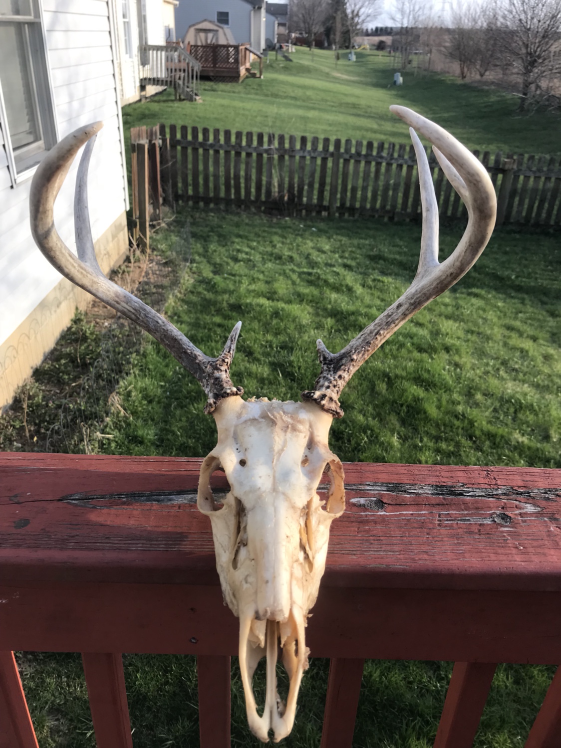 fef6dcfb323157896debfbbc57c08685.jpg