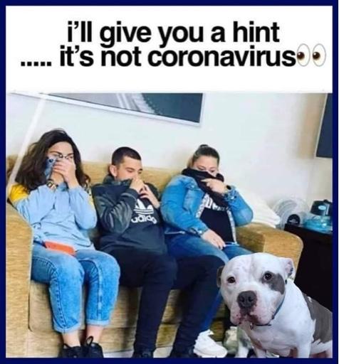 485379d3d48a8386c74a957cc787ec13.jpg