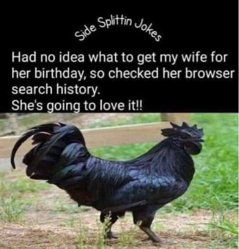 29d0f7add1c5f34e60d550af31478748.jpg
