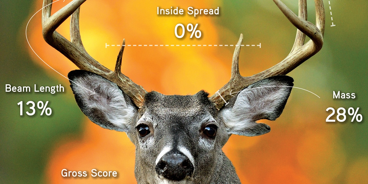 deerassociation.com