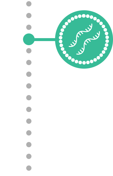 timeline-img-03-b.png