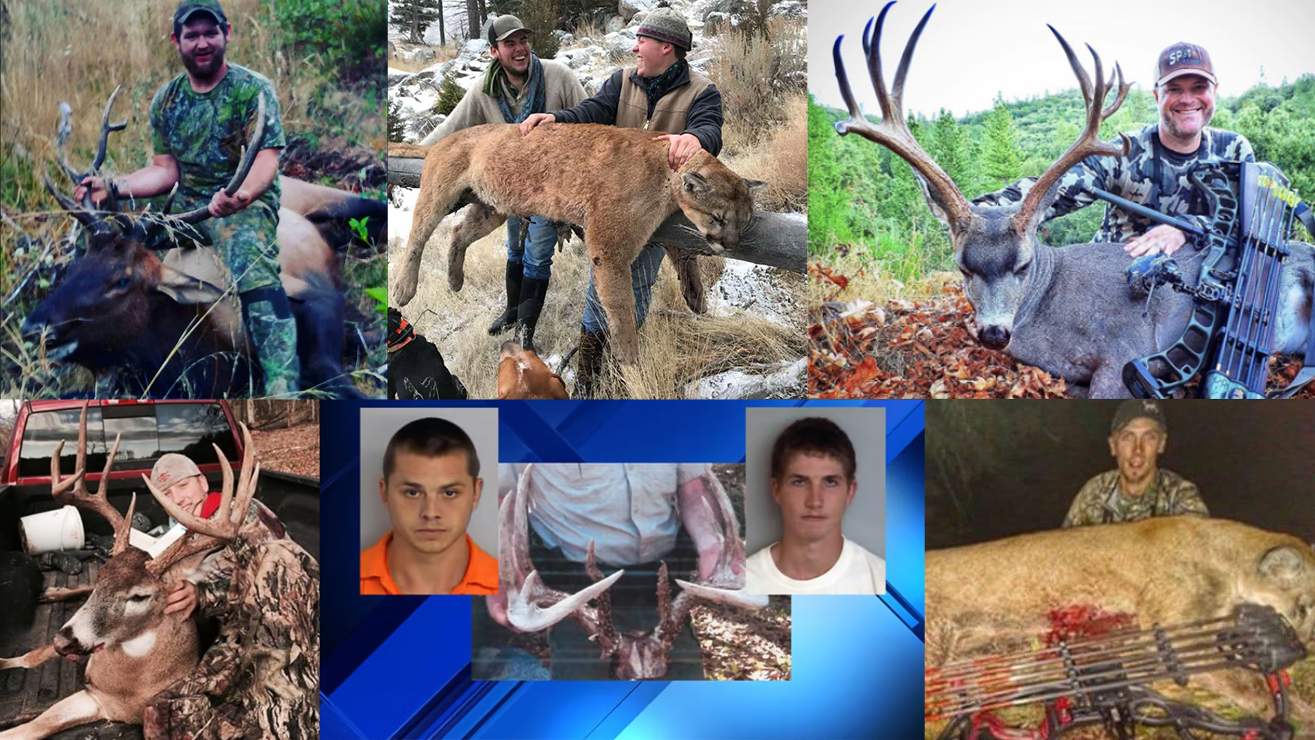 www.bowhunting.com