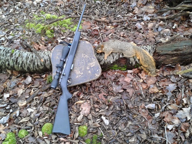 %257E12152014Squirrel.jpg