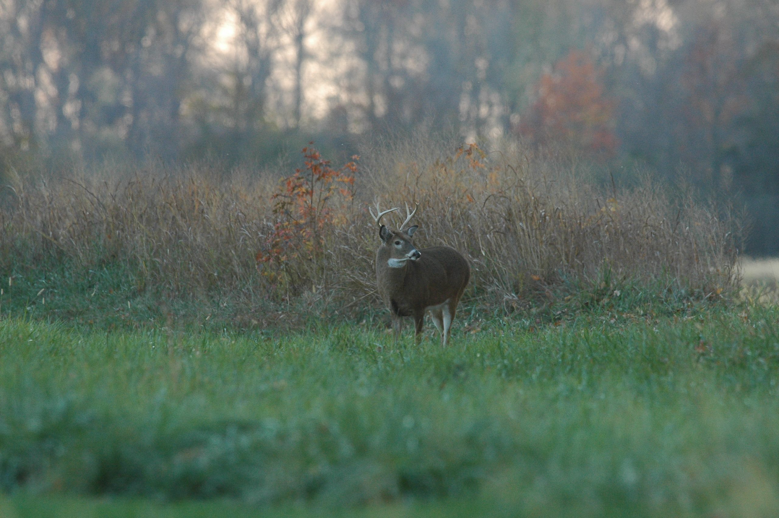 www.deer.psu.edu